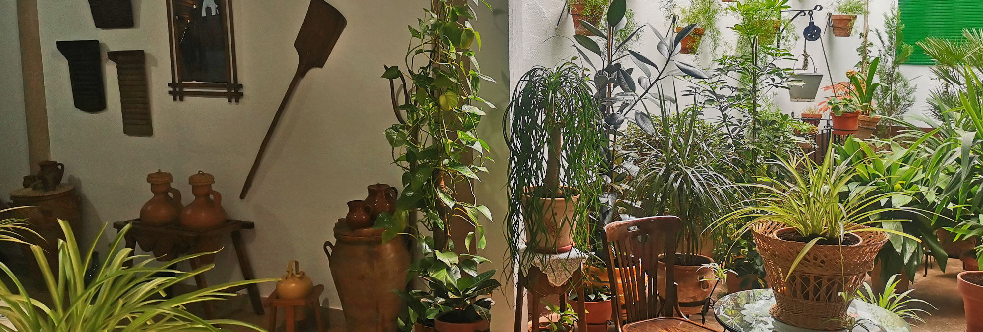 Casa de Domingo Román, Villanueva de los Infantes