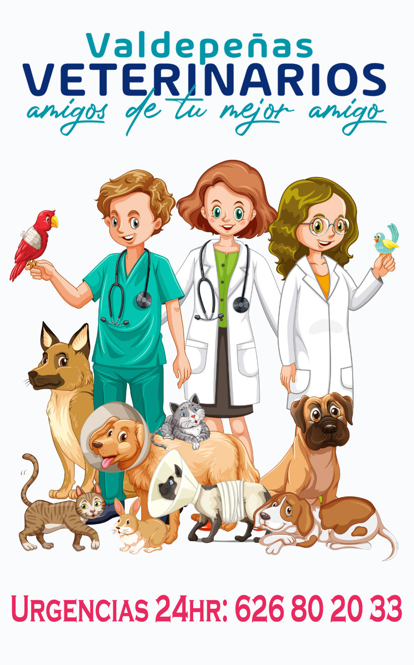 Valdepeñas Veterinarios