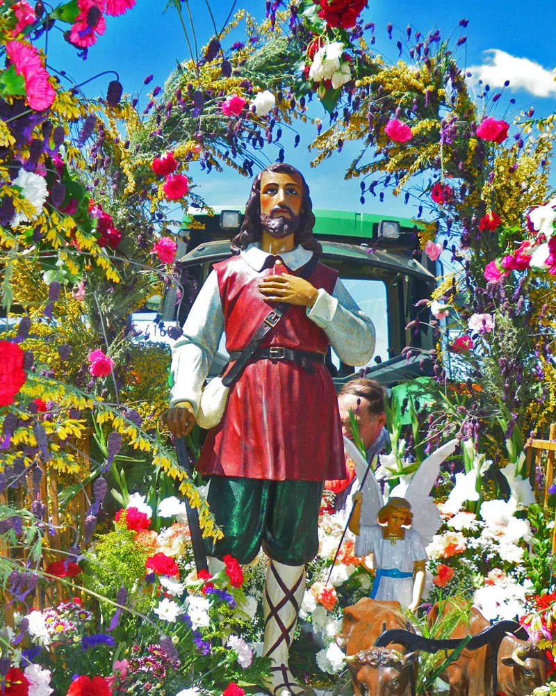 15 de Mayo, Romería de San Isidro (Terrinches)